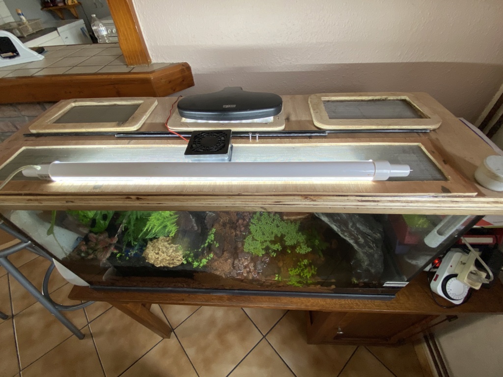 Paludarium dendro  6d57c410