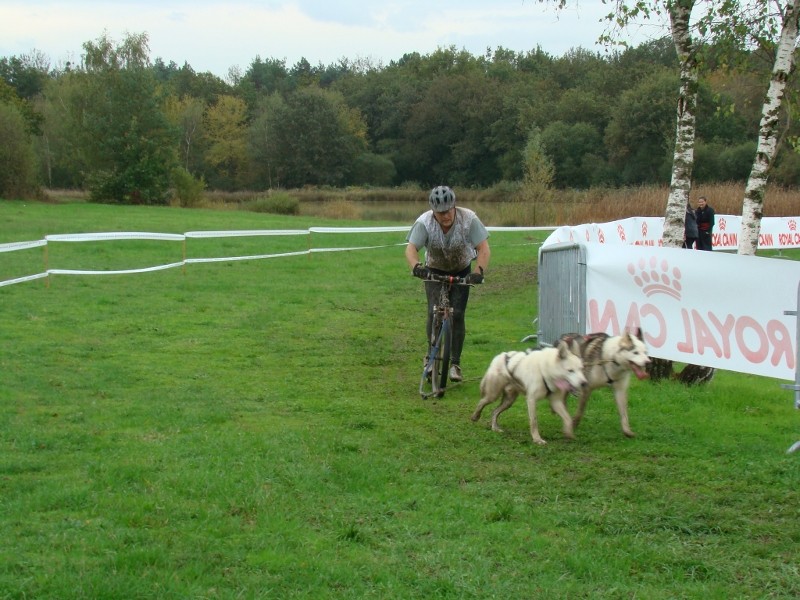 Course LES PATTES NORDIQUES Dsc08325