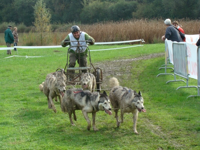 Course LES PATTES NORDIQUES Dsc08432