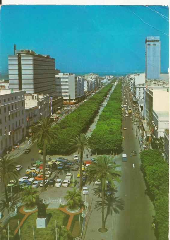 RENAULT 15/17 SUR CARTE POSTALE - Page 7 Tunis10