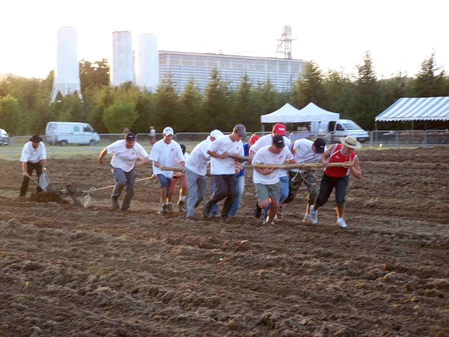 Concours labour Peaugres 07 Peaugr19