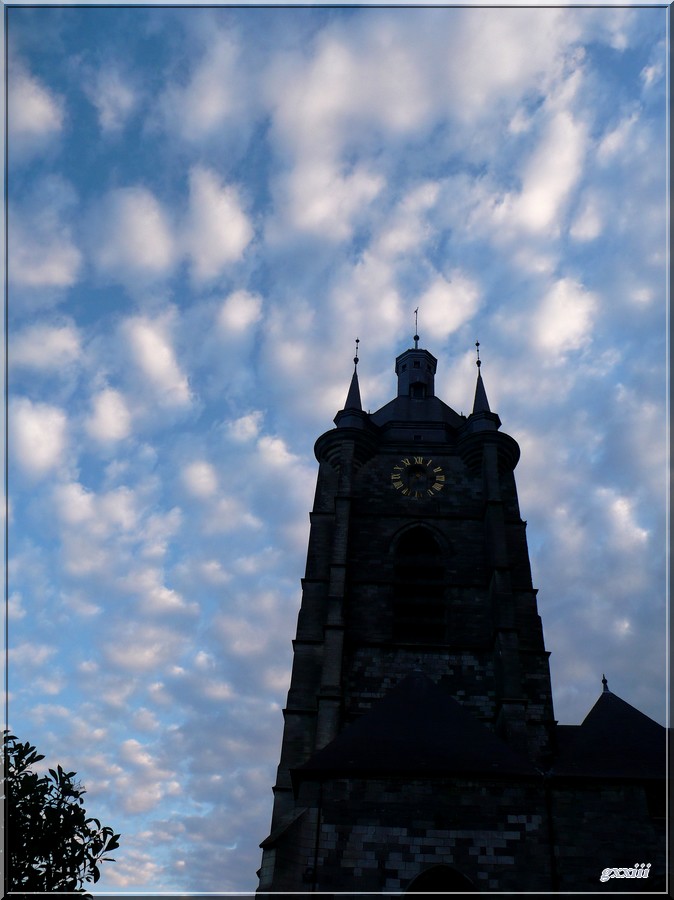 Altocumulus 14081013