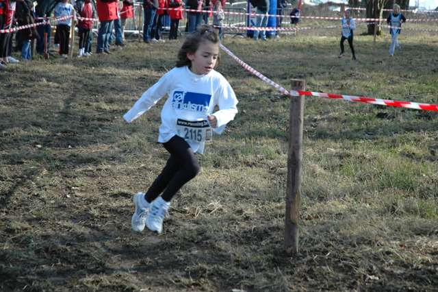 cross de Bastogne 24/02/2008 Cross_15