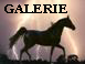 Galerie