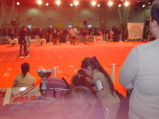 dog show 2008 au bourget 6_janv17