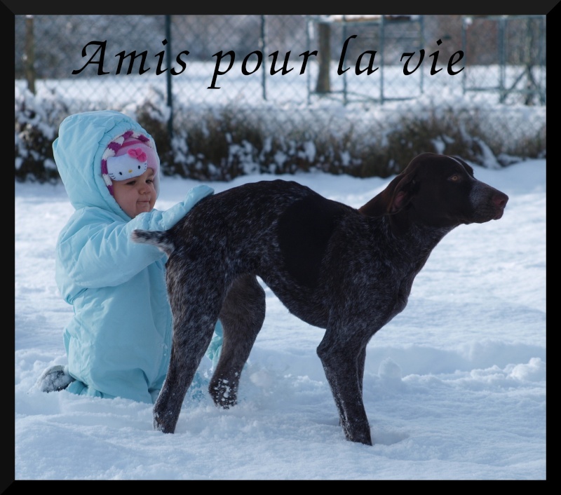 Concours photos décembre : Vos chiens et la Neige Pc186310