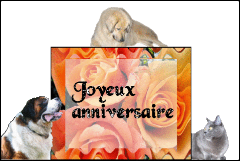 Bon Anniversaire Jijic Bon Anniversaire Jijic