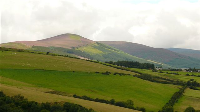 L'Irlande ... du Sud ... au Sud ... - Page 2 550_wi10