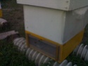Кормление пчёл на зиму - Сторінка 9 20082010