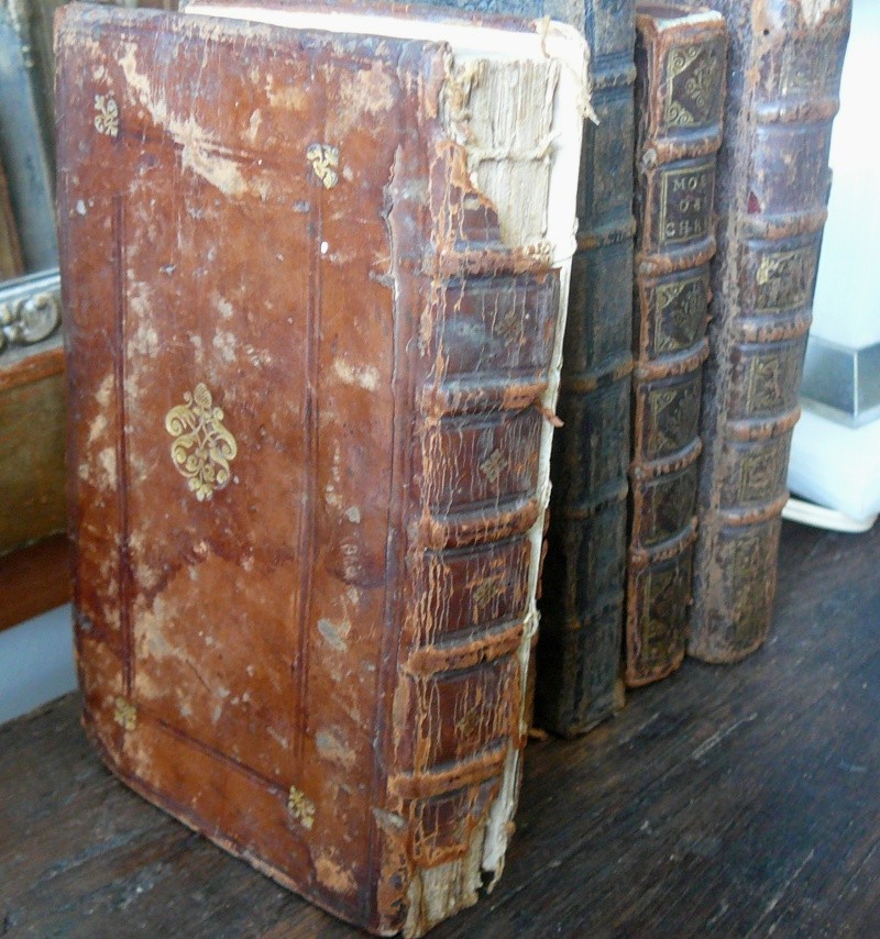 Les Epigrammes de M. Val Martialis édition de 1553 P1070215