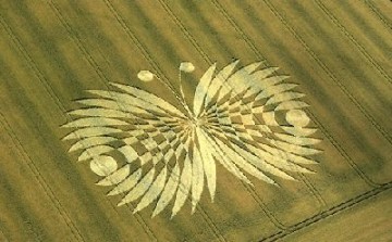 Circles dans les champs de blé 61bf0910