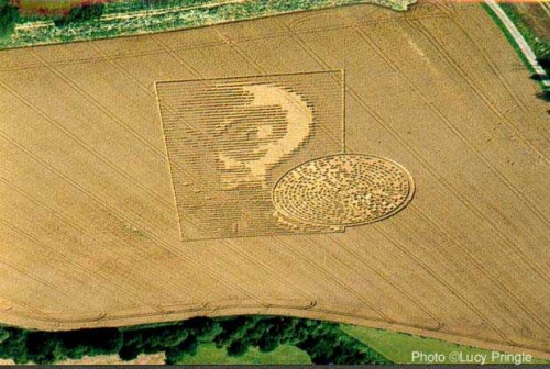 Circles dans les champs de blé Mod_ar10