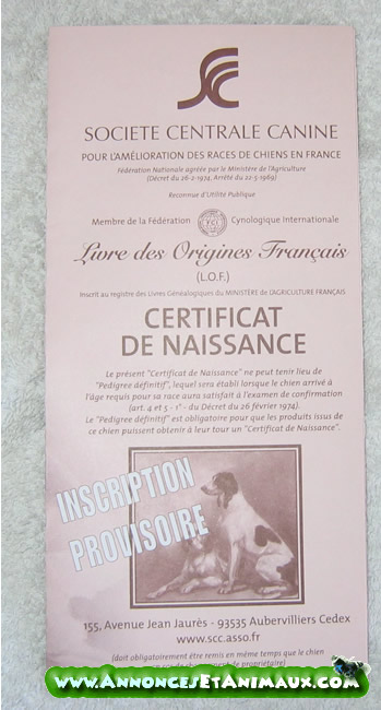 Les documents officiels obligatoires pour l'achat d'un chiot/chien Certif11