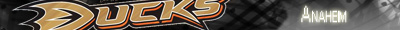 Anaheim ducks