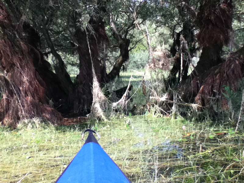 Lac d'Orient Systam10