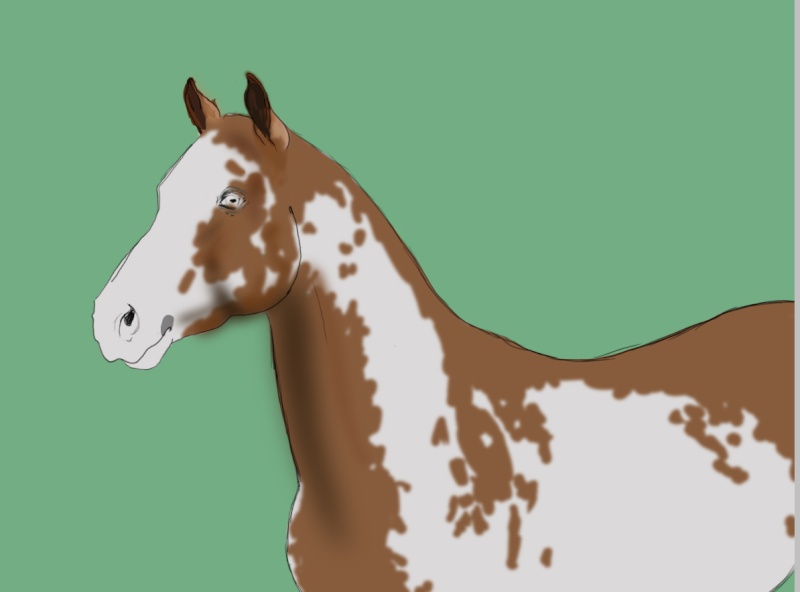 [Tutoriel] Dessiner et coloriser un cheval réel (tablette graphique) 411
