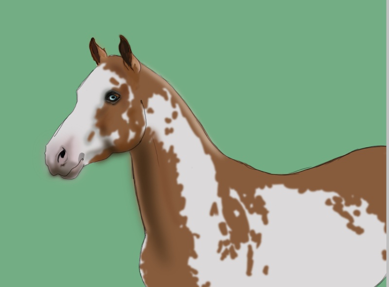 [Tutoriel] Dessiner et coloriser un cheval réel (tablette graphique) 511