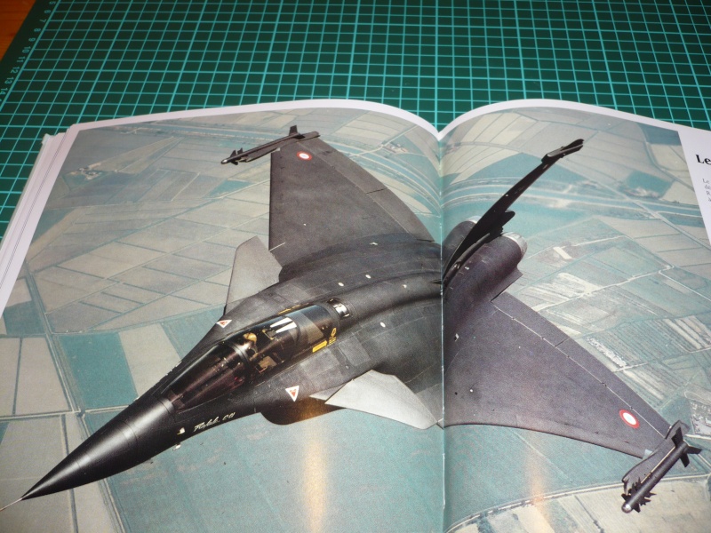 Rafale 1/48 [Revell] P1010213