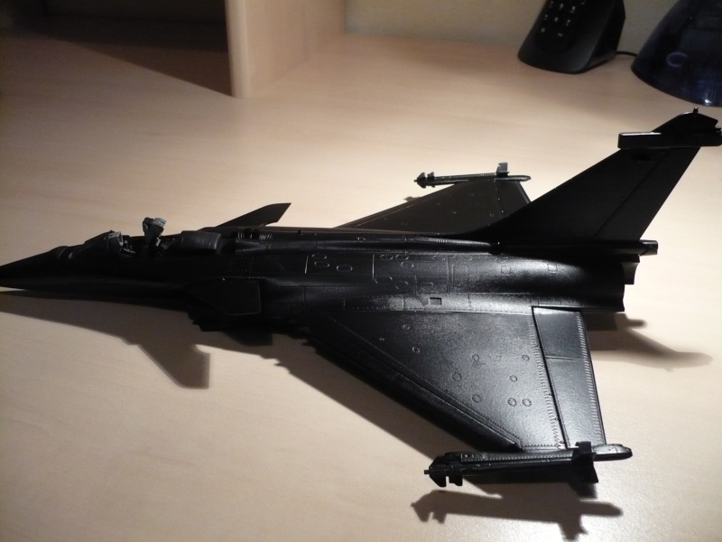 Rafale 1/48 [Revell] P1010310