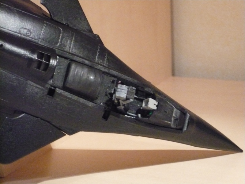 Rafale 1/48 [Revell] P1010314