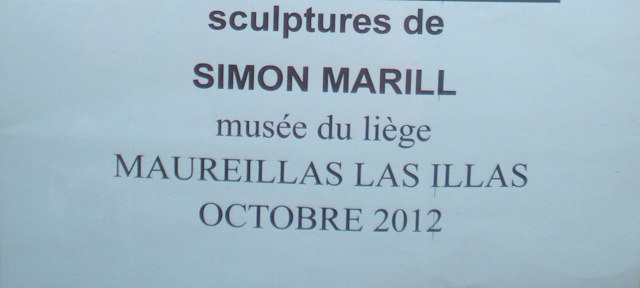 Exposition au Muse du Lige d'octobre 2012 Dscn6412