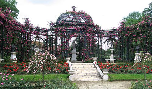 Les parcs et jardins et la roseraie de Cléo. Rosera10