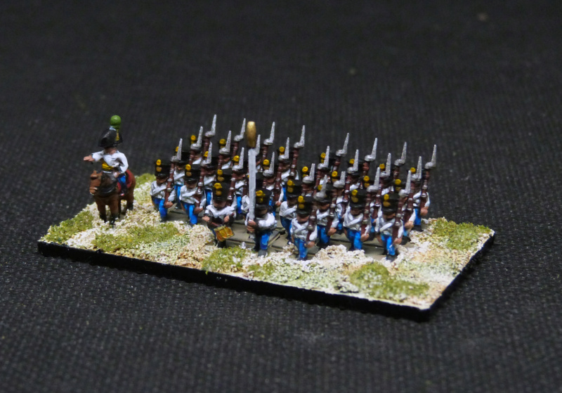 Mes Figurines 6mm pour La Garde Autric19