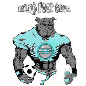 New Logo? Bfc210
