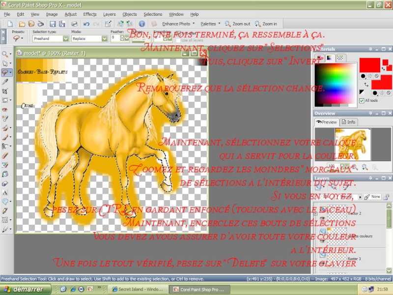 Tutoriel >> Faire une coloration russie (PSP X) Step2410