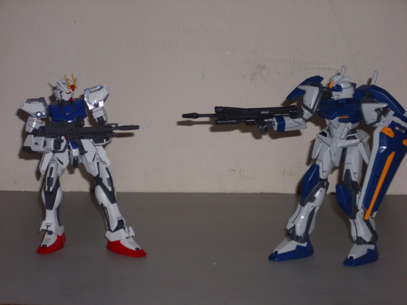 Aile Strike Gundam Img_0412