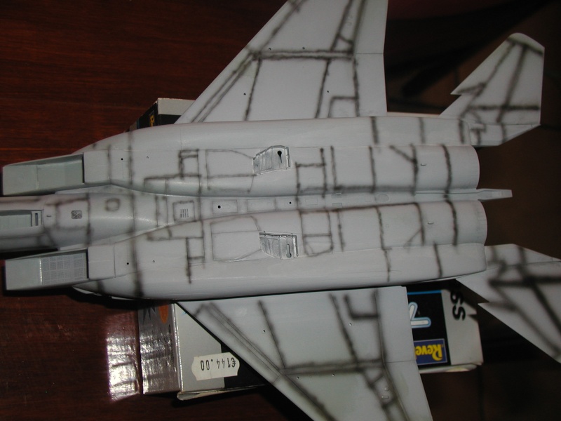 F15E Strike Eagle  [Academy] 1/48 P1010040