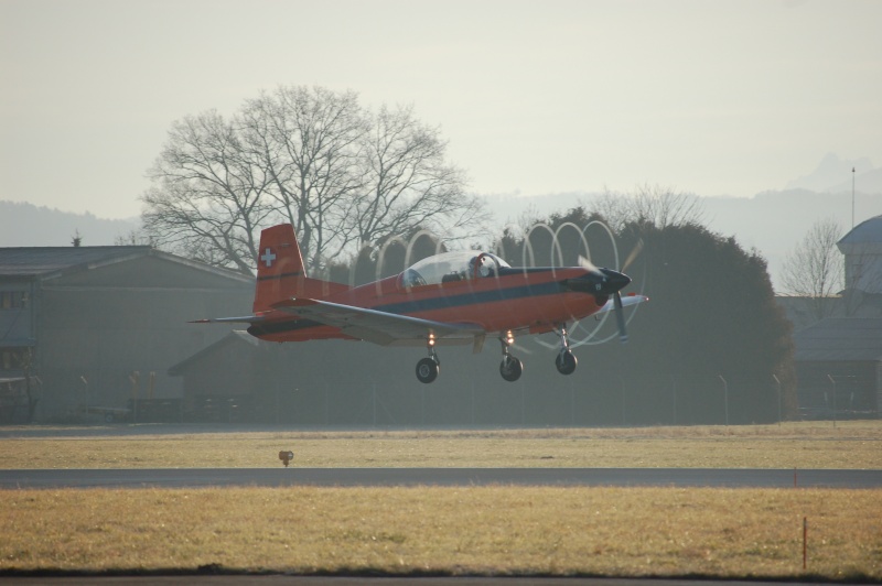 10.01.08, petit tour  Payerne... Sous le soleil Photo_10