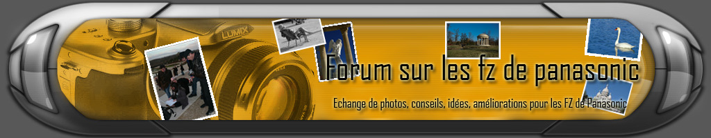 Concours Logo de votre nouveau Forum - FIN 24/02 Logofz10