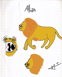 Mes dessins de lions Allian11