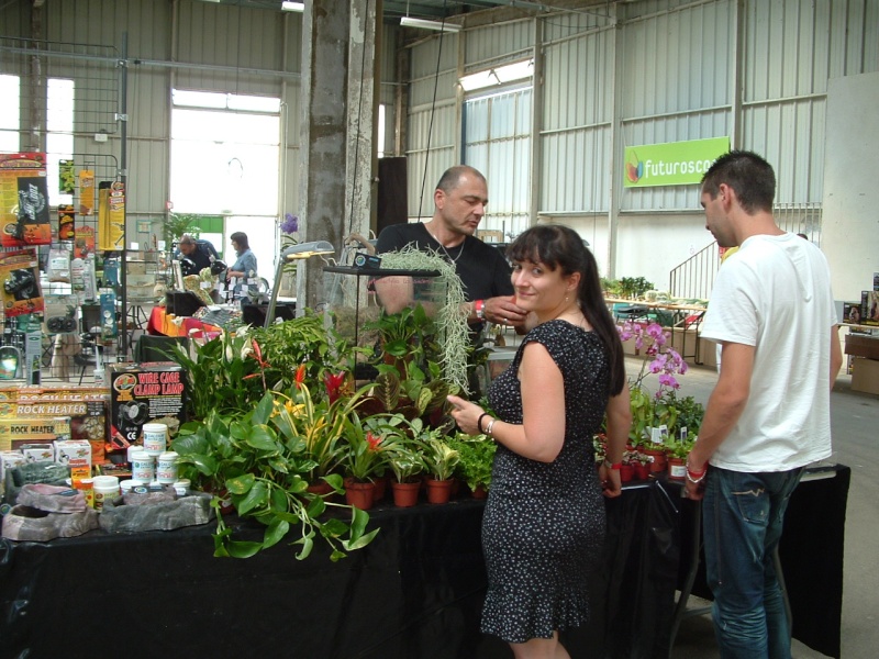 Reportage photo Bourse Chtellerault Dscf0135