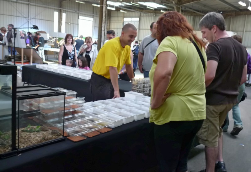 Reportage photo Bourse Chtellerault P1010514