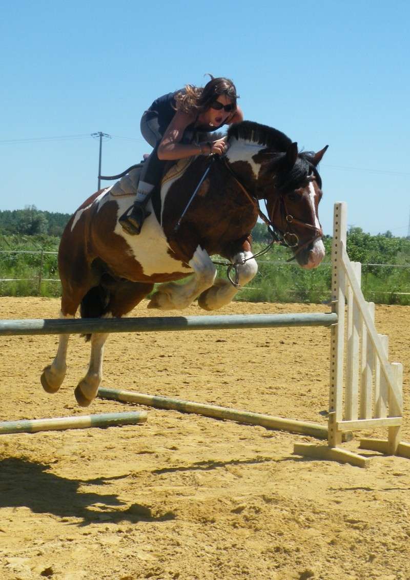 (33) dp sur poney C 116