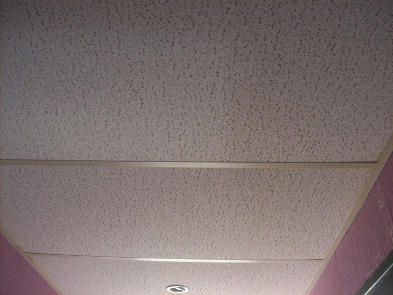 Repeindre mes dalles de faux plafond Pont12