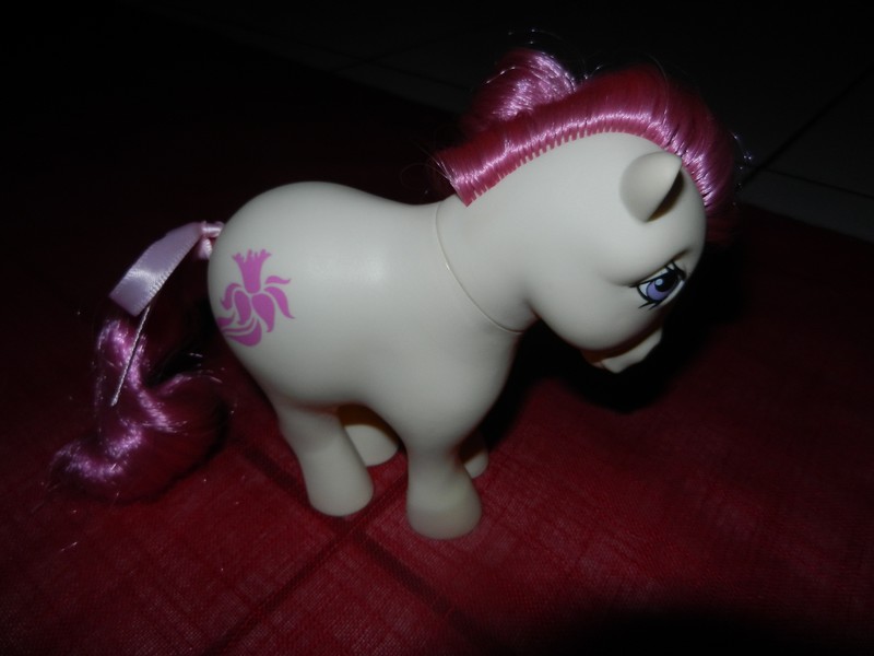 Ma belle petite collection de poney G1 Birthf15