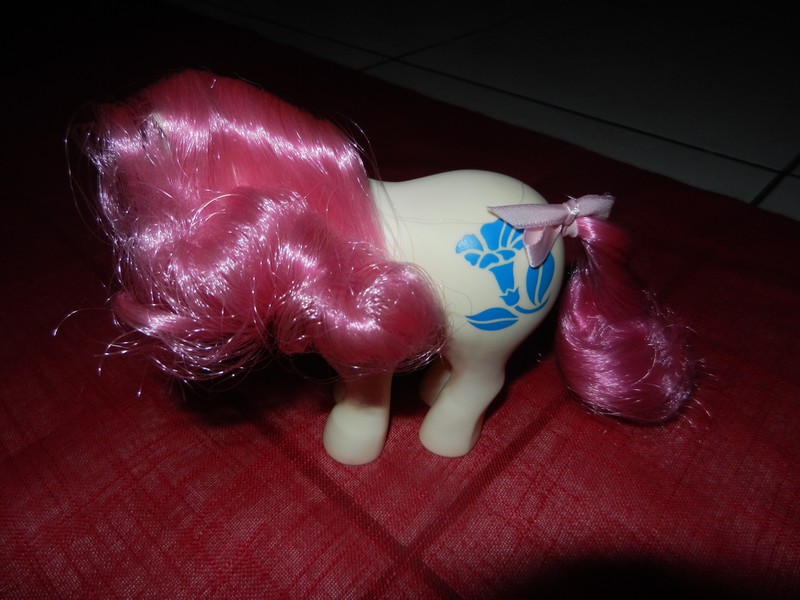 Ma belle petite collection de poney G1 Birthf20