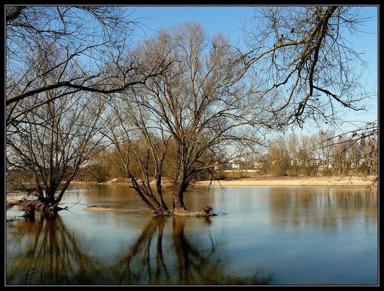 Bords de Loire P1010810