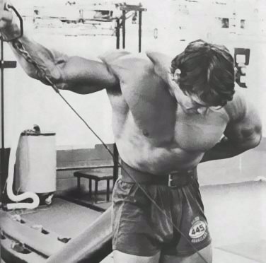 Arnold Schwarzenegger en photos - Page 8 19-arn10