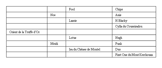 Présentation des PEDIGREES de vos chiens Pedigr10