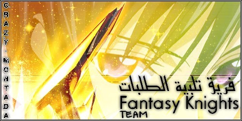   Fantasy Knights Team 1311