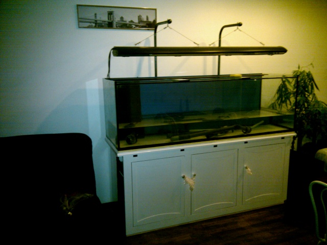 Projet Escaflown : Aquarium 700L recifal  2010-010