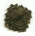 medalla - insignia  de la Unión Patriotica Image120