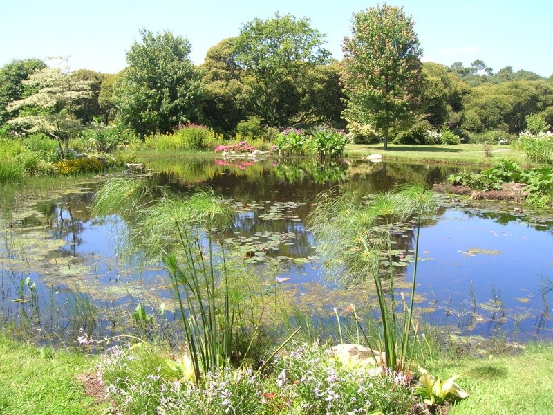 Parc Botanique de Cornouaille Finistère 29 + la suite des photos Dscn2039