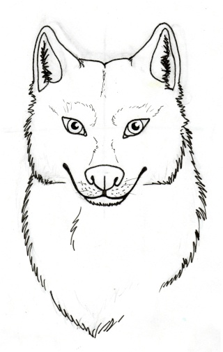 Tuto Comment Dessiner Un Loup 2