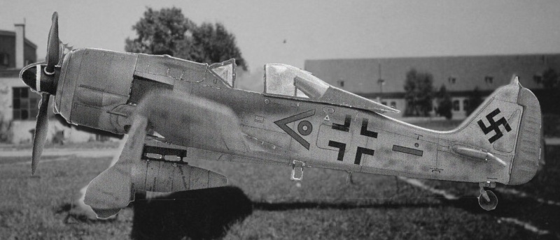 Fw190 F9 - Munich Printemps 1945 -  - Page 2 Fwfina10