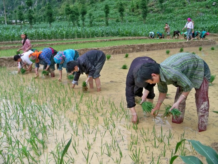 Vietnam 2012: "Ten toi la Momi" Resiz241